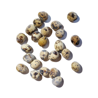Savage Cat Dog and Cat Frozen Quail Eggs- 9oz (24 count)