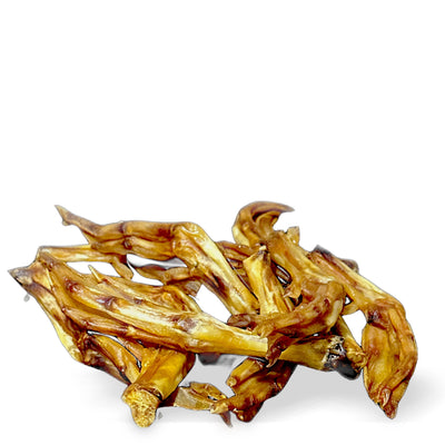 Duck Feet - Single Duck Feet